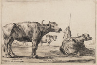 TvB G 4604
          <br/>
          Herder met buffels
          <br/>
          <em>Bella, Stefano della (1610-1664)</em>